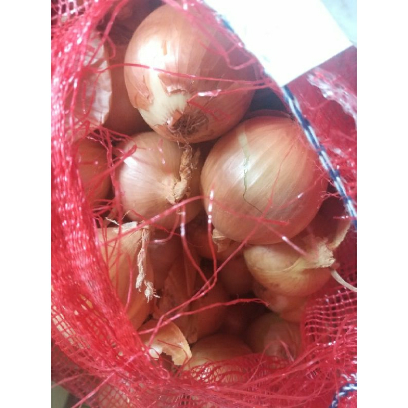 

bawang bombay super