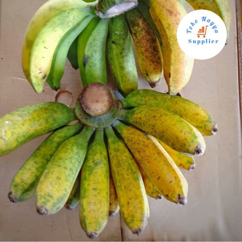 

Pisang Raja Bulu | Harga Per kilo