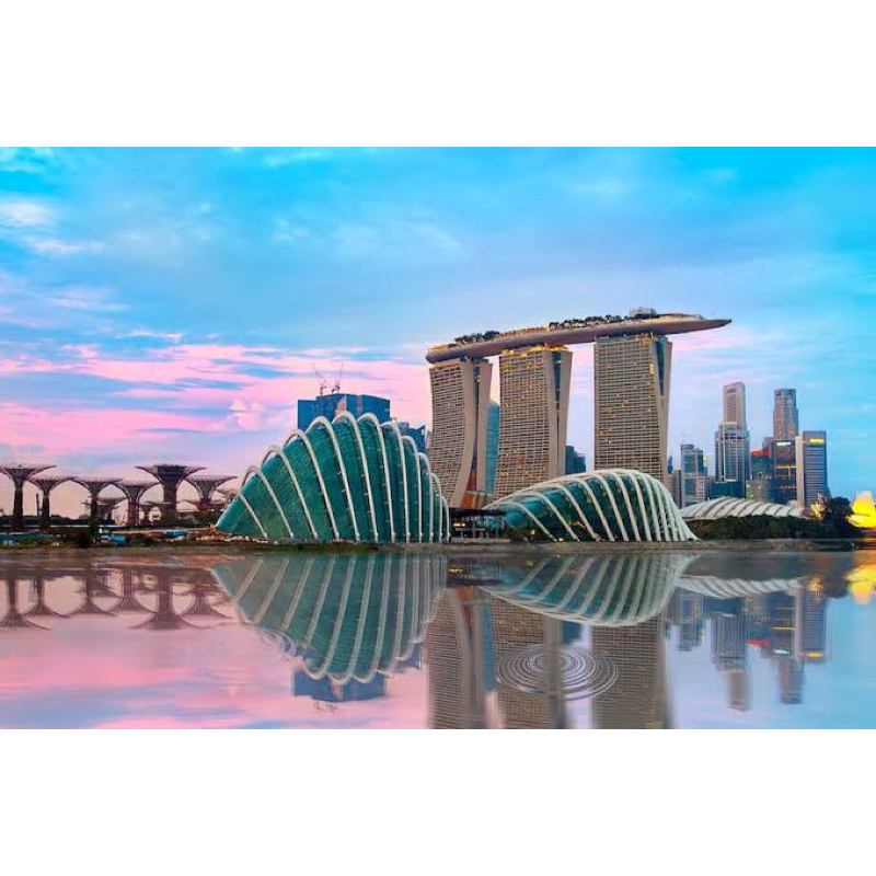 

LINK CO PO SG / CheckOut Preorder Singapore