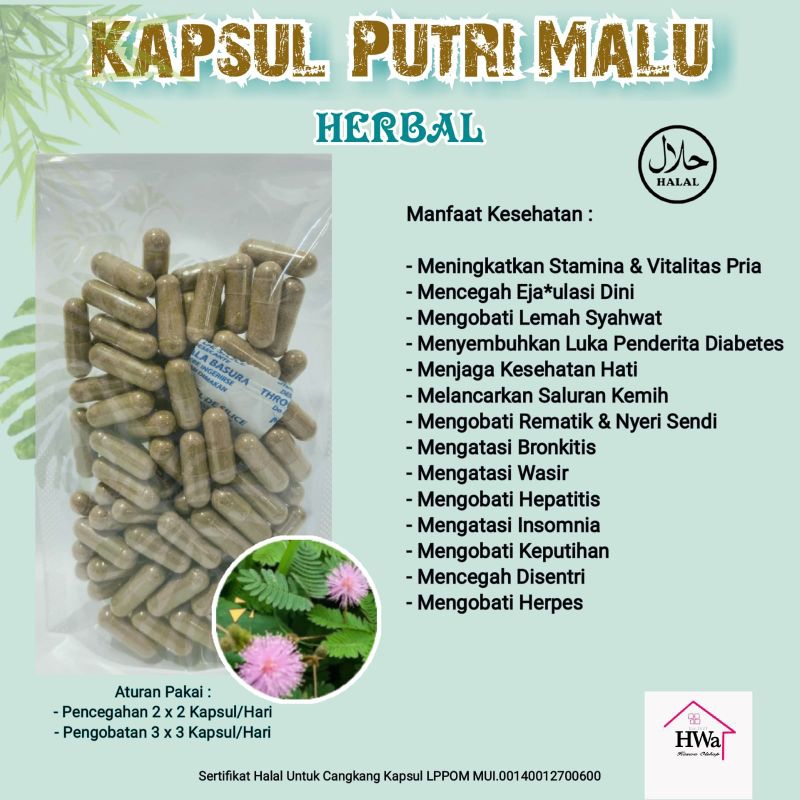 

Kapsul Putri Malu Herbal Stamina isi 100 Kapsul
