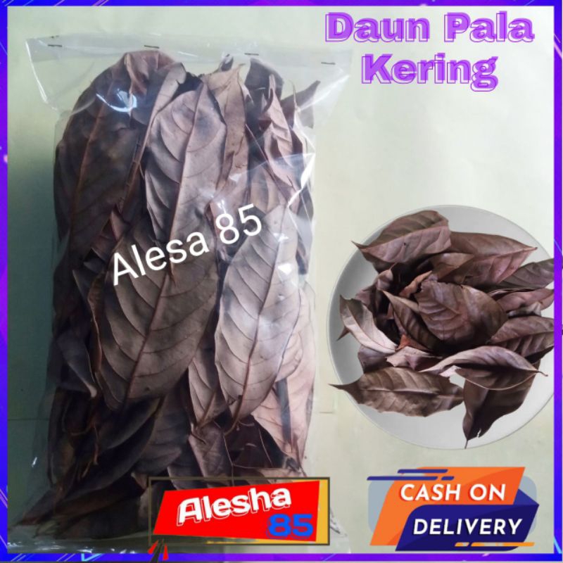 

Daun Pala Kering 50 gr