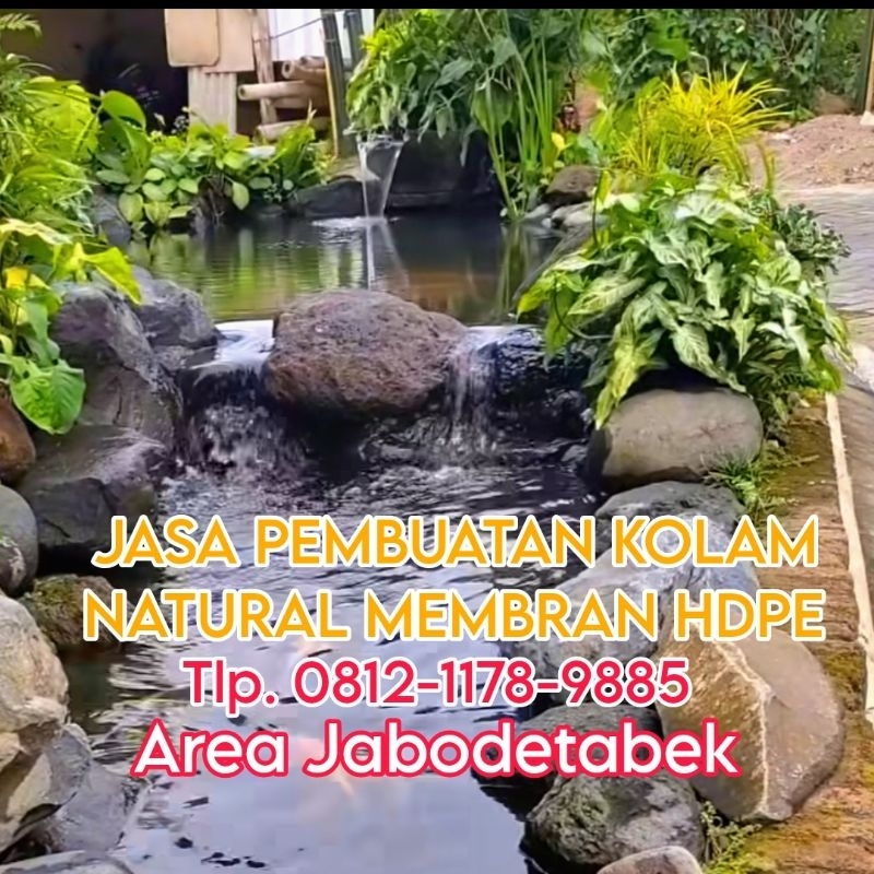 kolam koi natural dengan membran