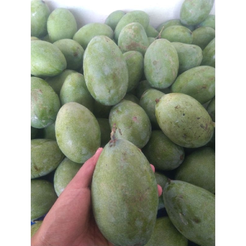 

Mangga Manalagi