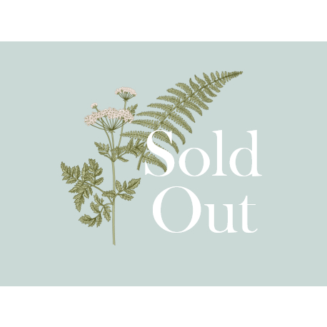 Preloved Nano Spray 2 MCI