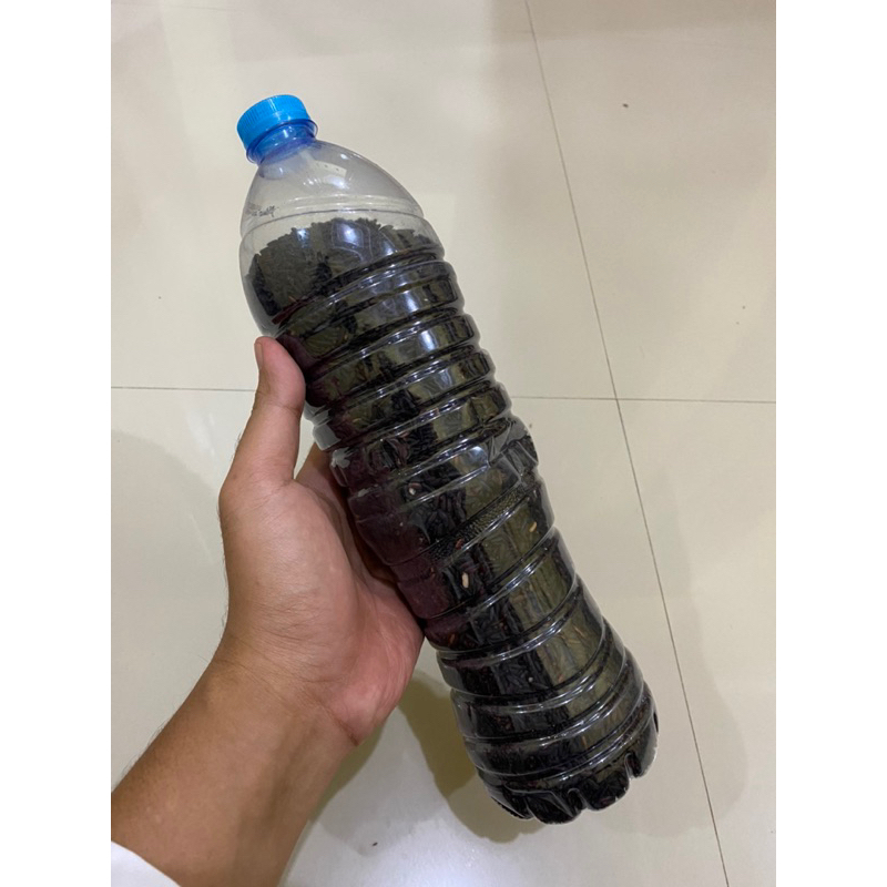 Ketan Hitam Pakan Perkutut (Pakem)