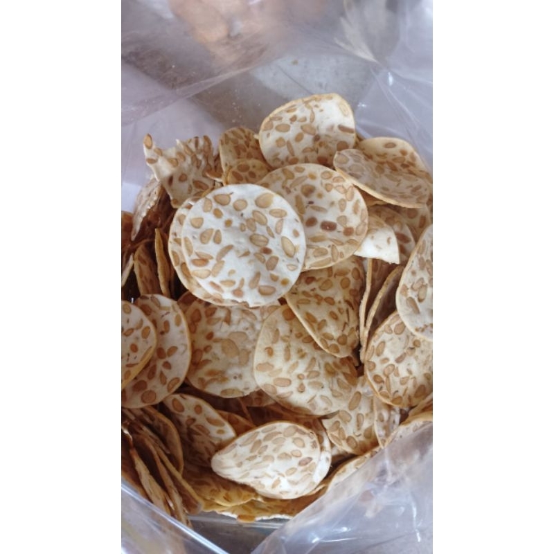 

Kerpik Tempe Sagu Blitar