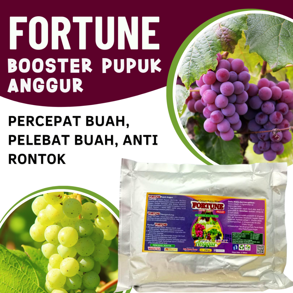 Pupuk Anggur Vegetatif Masa Pertumbuhan Pupuk Anggur Terbaik 250 gram