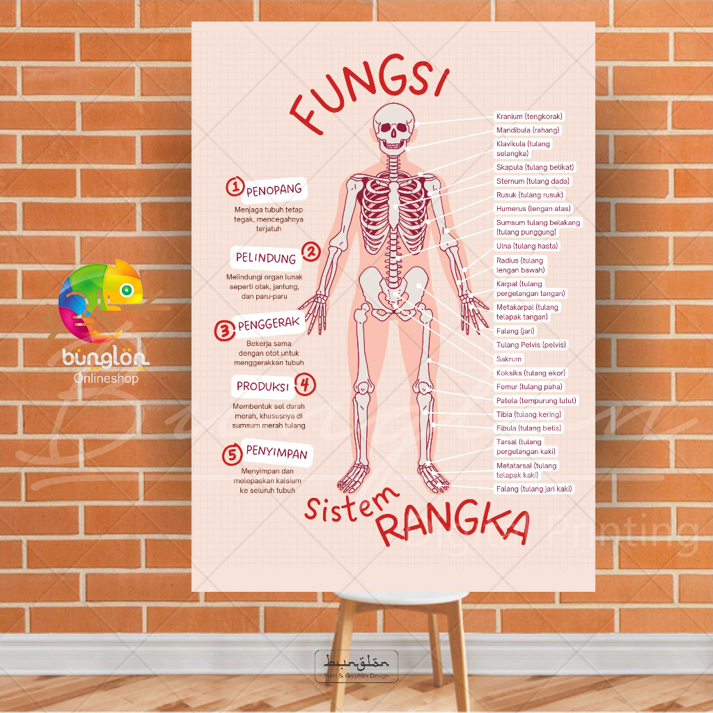 

Poster Edukasi Fungsi Sistem Rangka