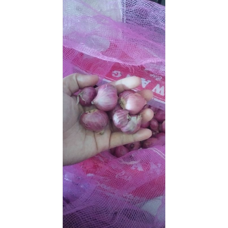 

bawang merah