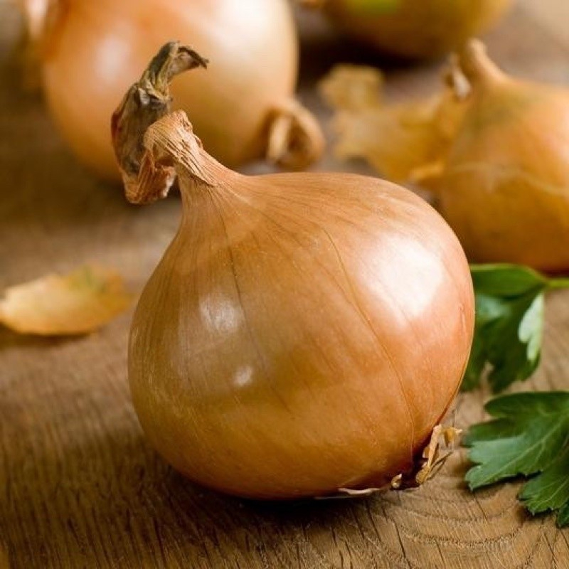 

Bawang Bombay Sweet Onion IMPORT Grade A 10 kg