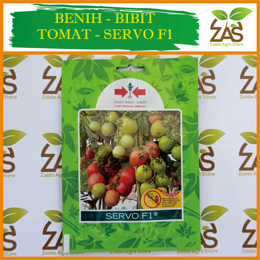 BENIH BIBIT TOMAT SERVO F1 - BIBIT TOMAT - ISI 150 BUTIR - CAP PANAH MERAH