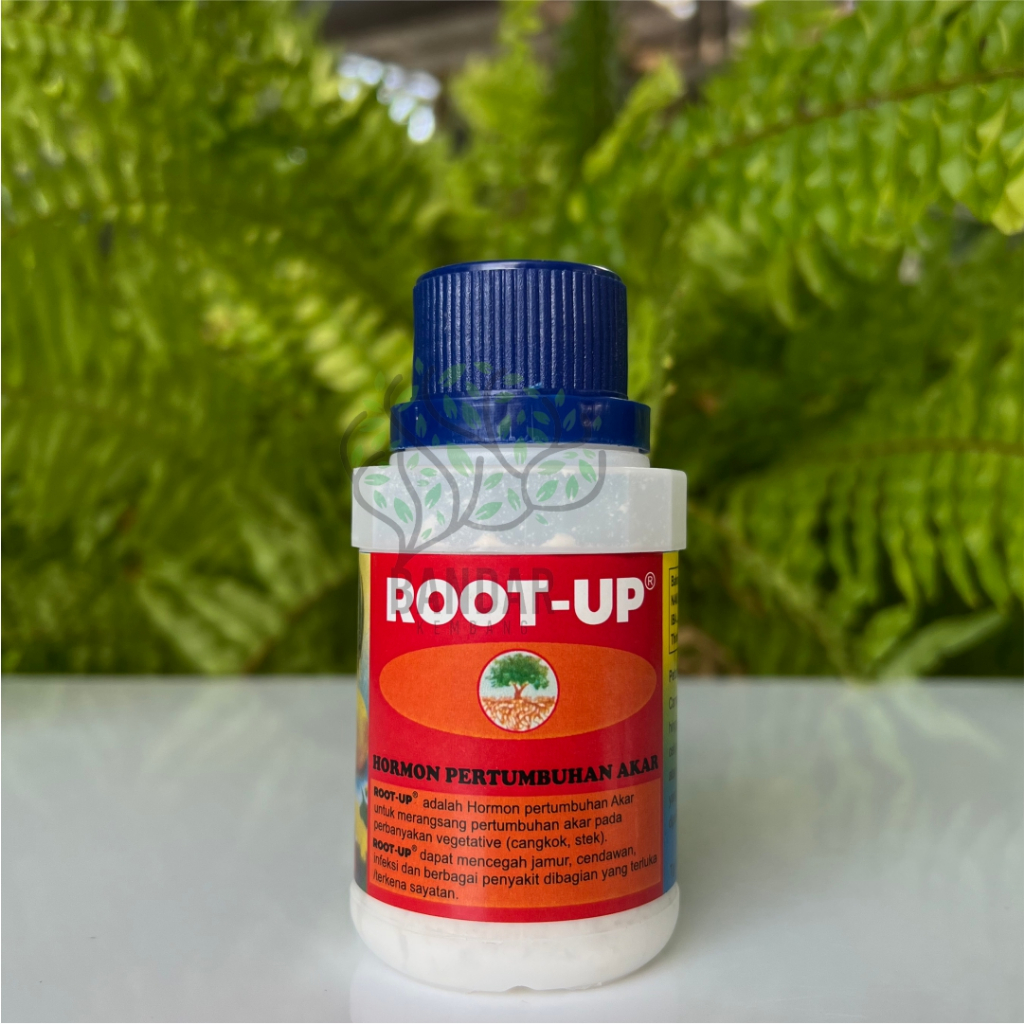 Root Up Hormon Cangkok Tanaman 100gr Perangsang Akar