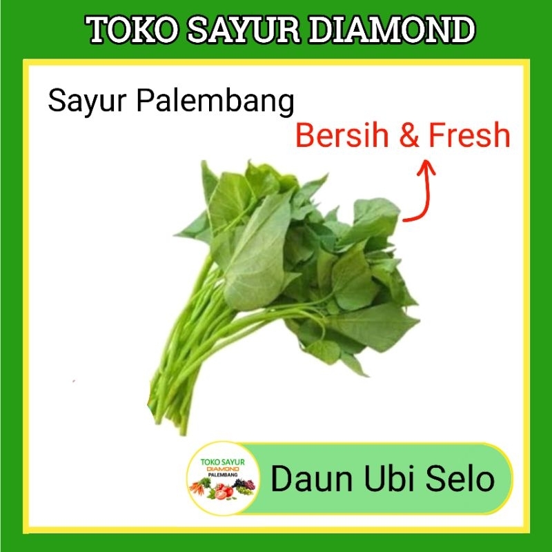 

Daun Ubi Selo - Sayur Segar Palembang
