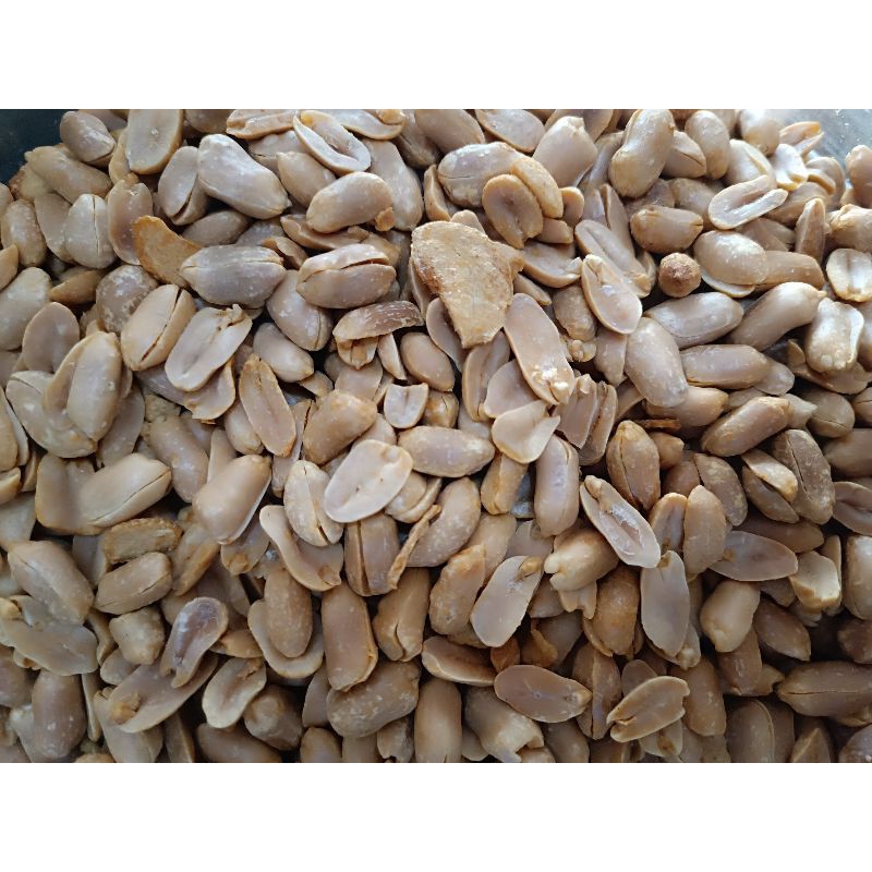 

Kacang bawang ashoka 500gram