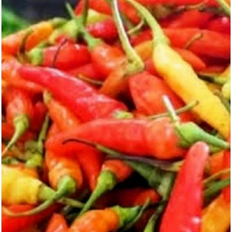 

Cabe hijau, cabe merah/bungkus