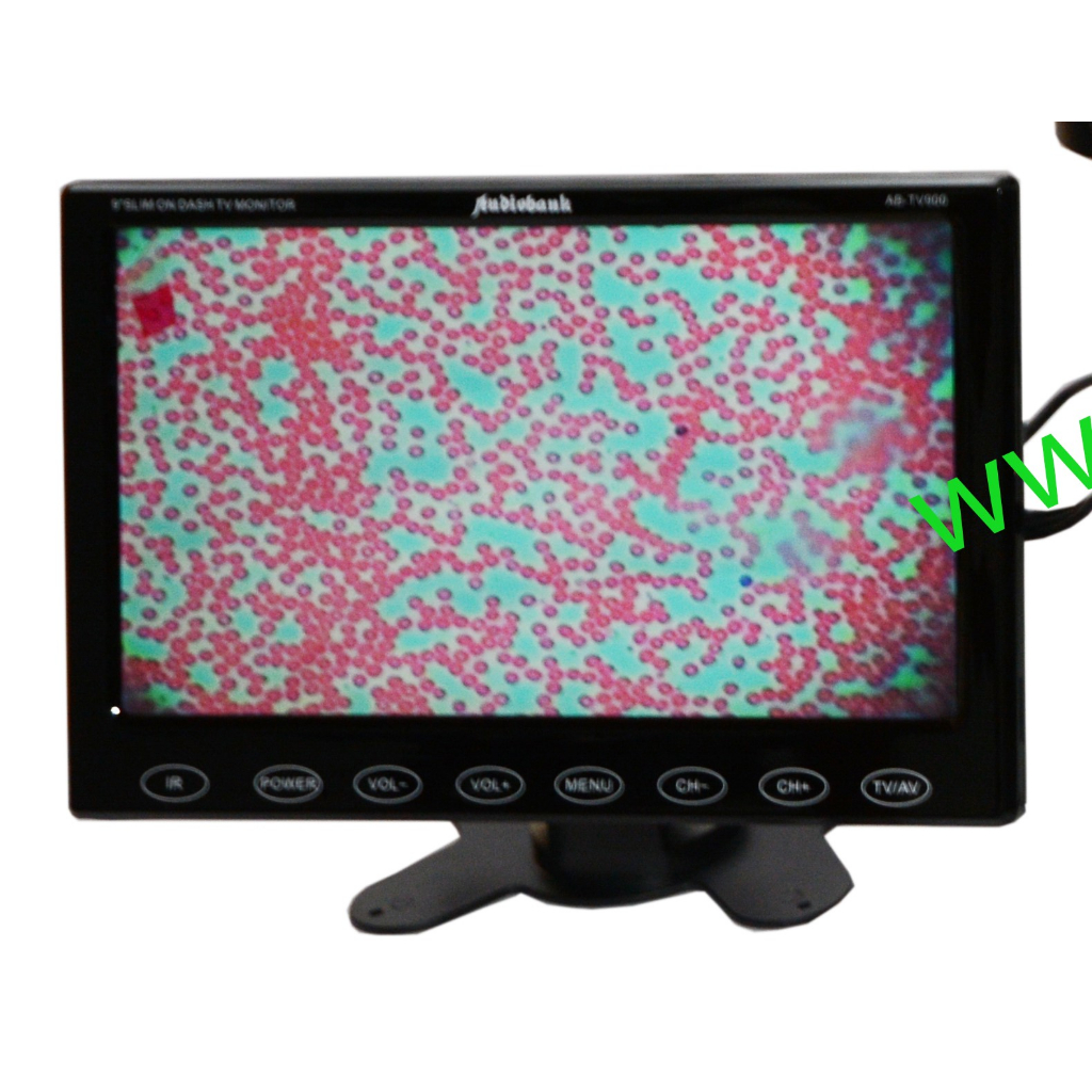 Kamera Multimedia Mikroskop Binokuler CX23 Digimi CX23MT Edusains