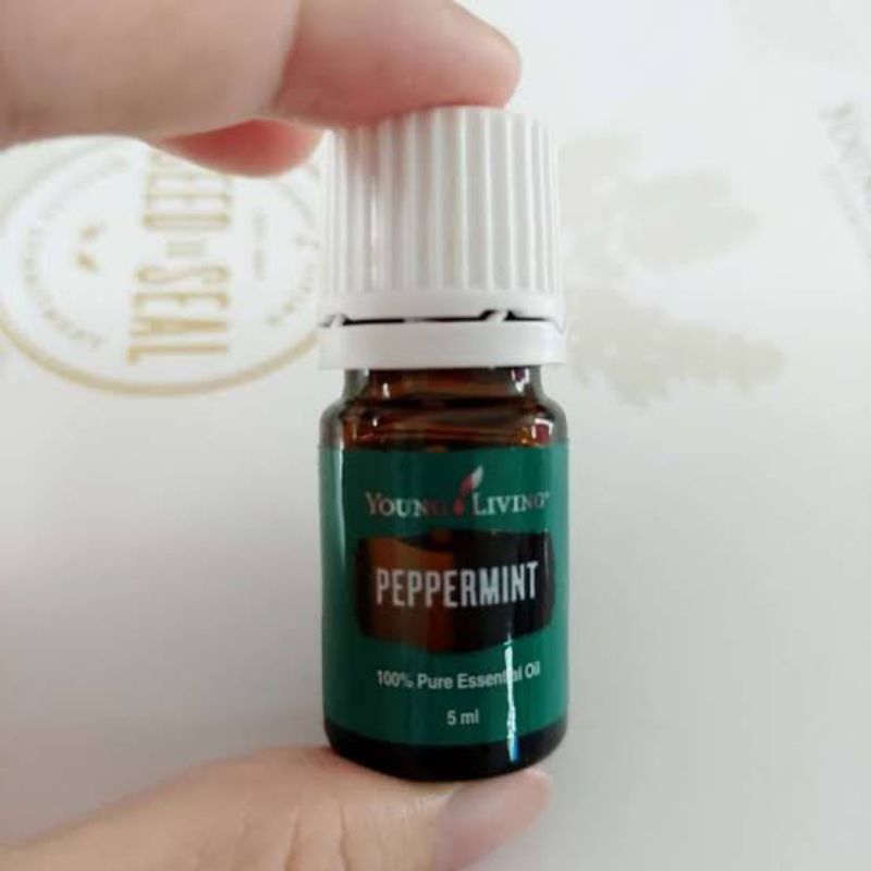 Ready Peppermint 5ml Young Essential Oil Living 100% Original YL