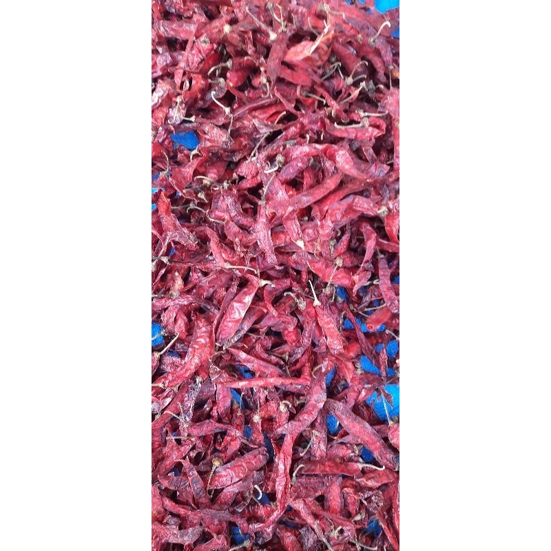 

CABE MERAH BESAR KUALITAS BAGUS TANPA TANGKAI CABE ASLI MADURA 1 kg