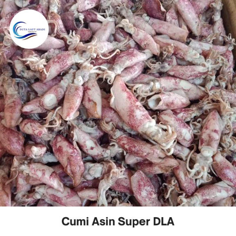 

ikan asin cumi asin rebus / sotong rebus ukuran sedang