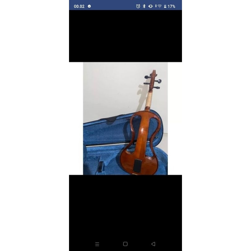 biola elektrik / electric violin hofner