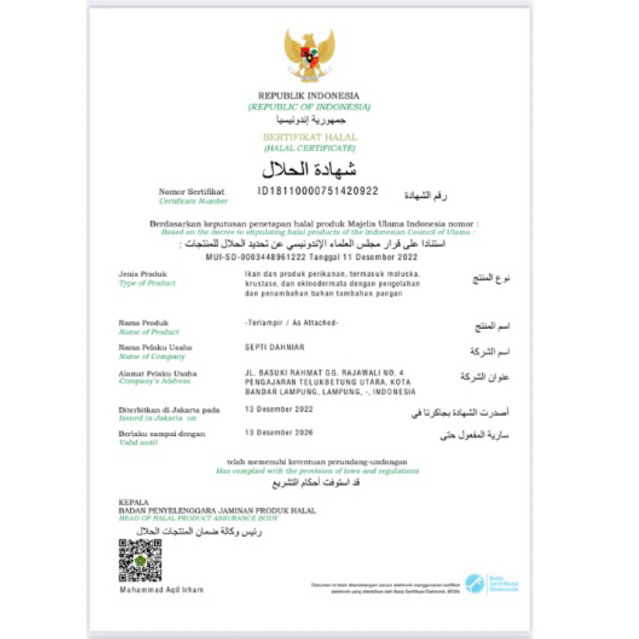 pempek palembang isi 50pcs varian campur