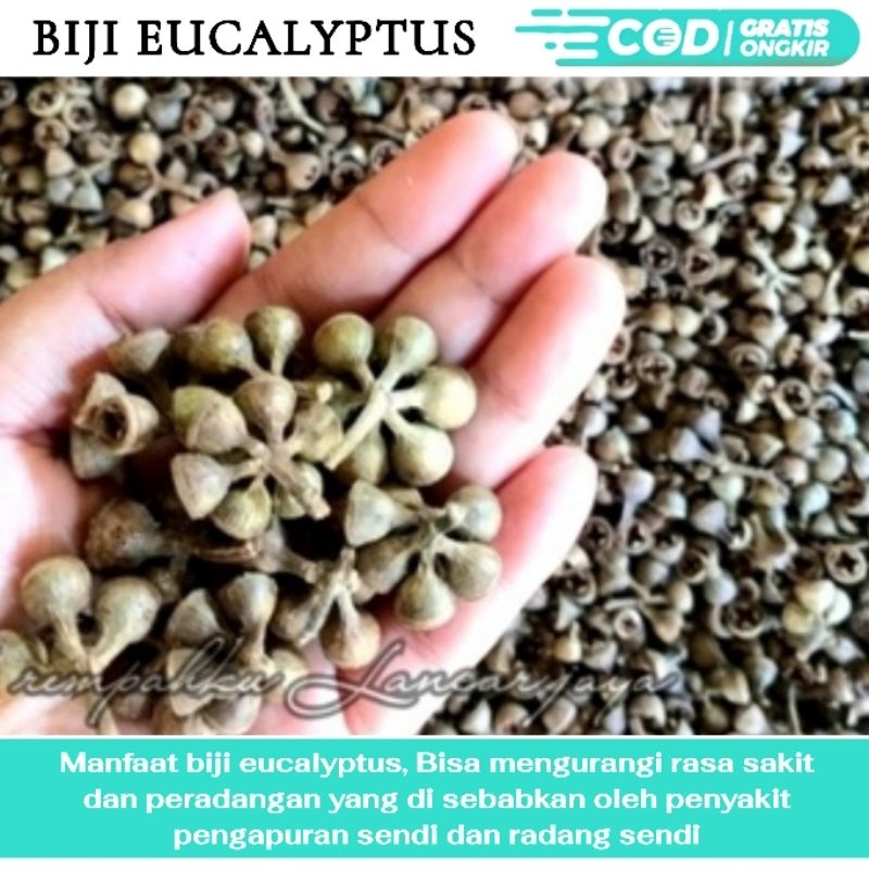 

RL EUCALYPTUS/ EKALIPTUS/ KALITUS/ CEPLIKAN 1KG