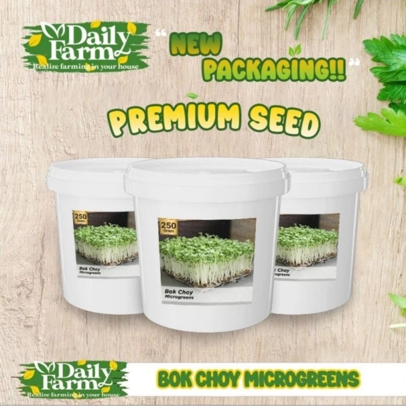 Benih Sayur Microgreen - Microgreen Bok Choy ( 250 Grm )