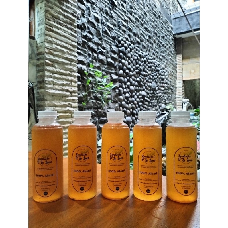

Kombucha Original (250 ml)