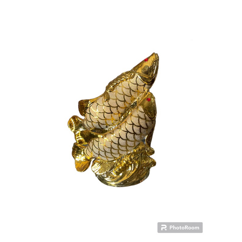 IKAN ARWANA DOUBLE PAJANGAN ARWANA DOUBLE IKAN