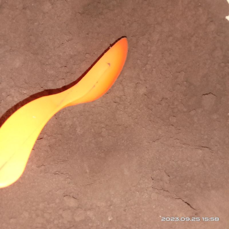 

Bubuk kopi asli bornio kalimantan