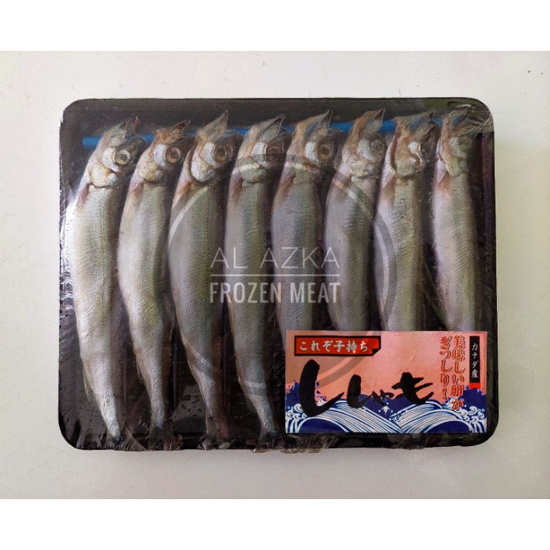

Ikan Shisamo / Ikan Capelin / Ikan Telur / Shisamo Female Premium