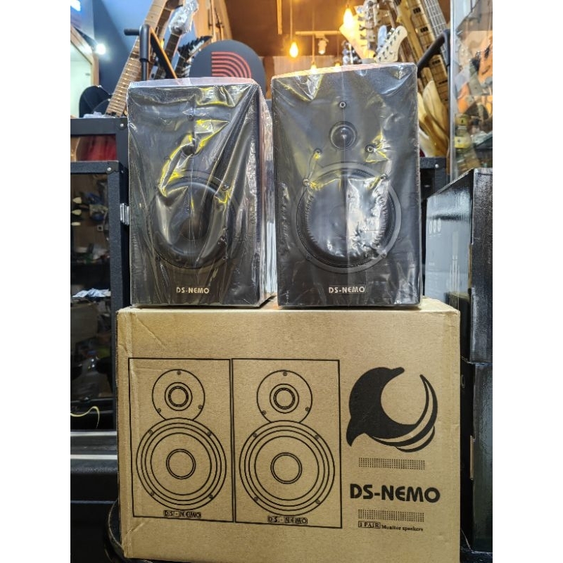 Speaker monitor flat Dolphinsound DS NEMO