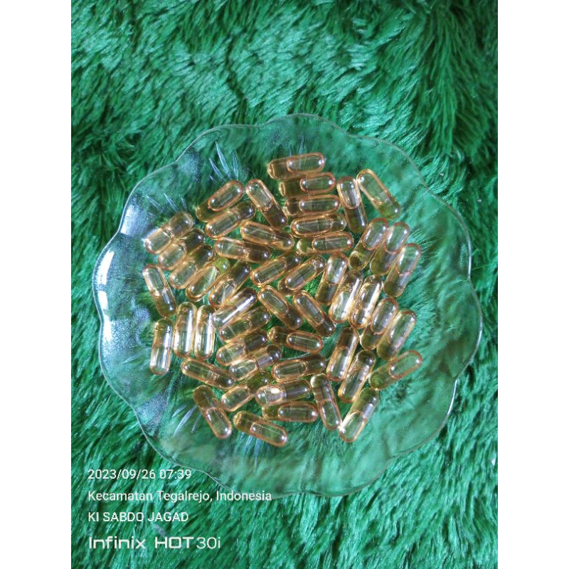 KAPSUL MINYAK PENGUAT ILMU&KODAM