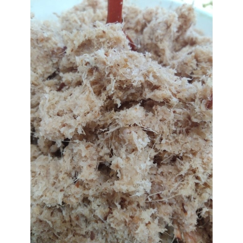 

Lengkua giling kasar 1kg