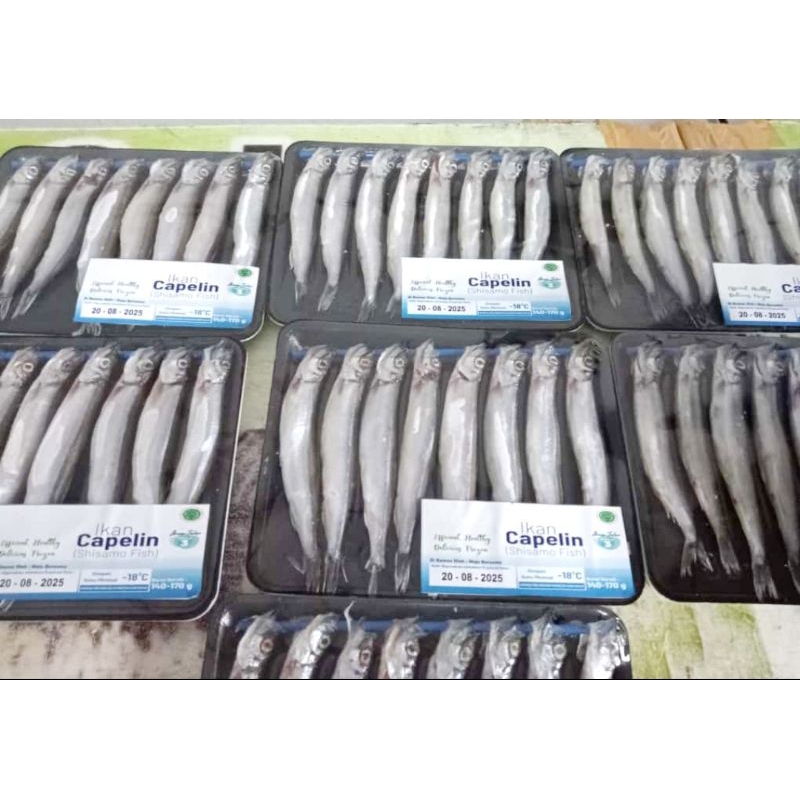 

Shishamo Fish (Ikan Capelin)