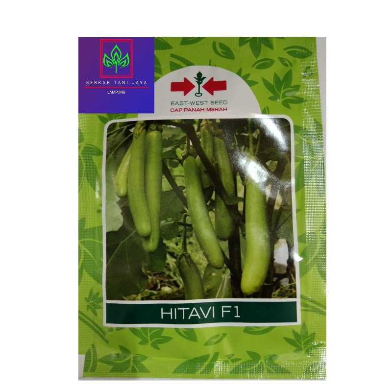 Benih Terong Hijau Hitavi F1 Cap Panah Merah