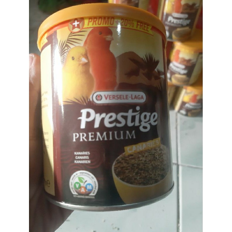 prestige versele laga canary