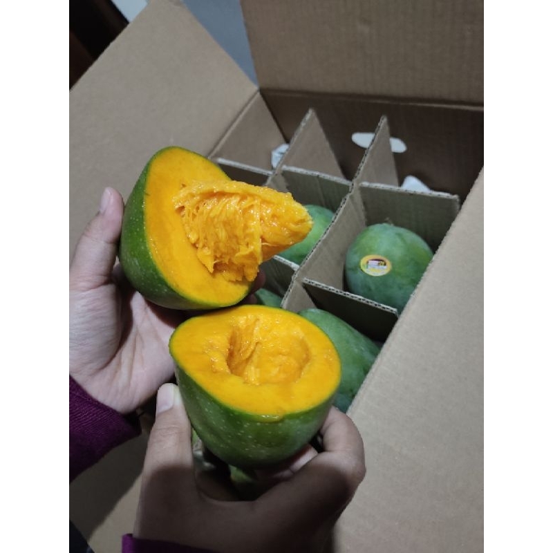 

MANGGA ALPUKAT 1KG