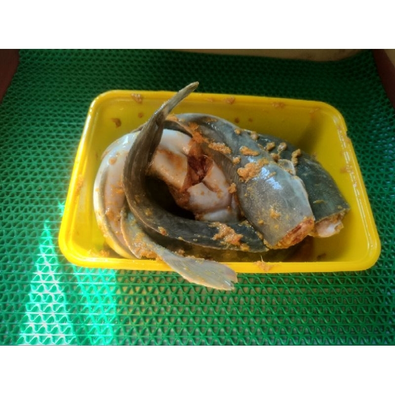 

ikan lele segar 1 kg