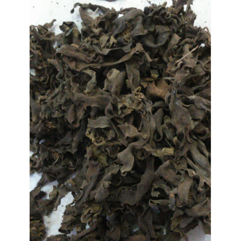 

HERBAL BUNGA KENANGA/ CANANGA ODORATA KERING TERMURAH-100 GRAM
