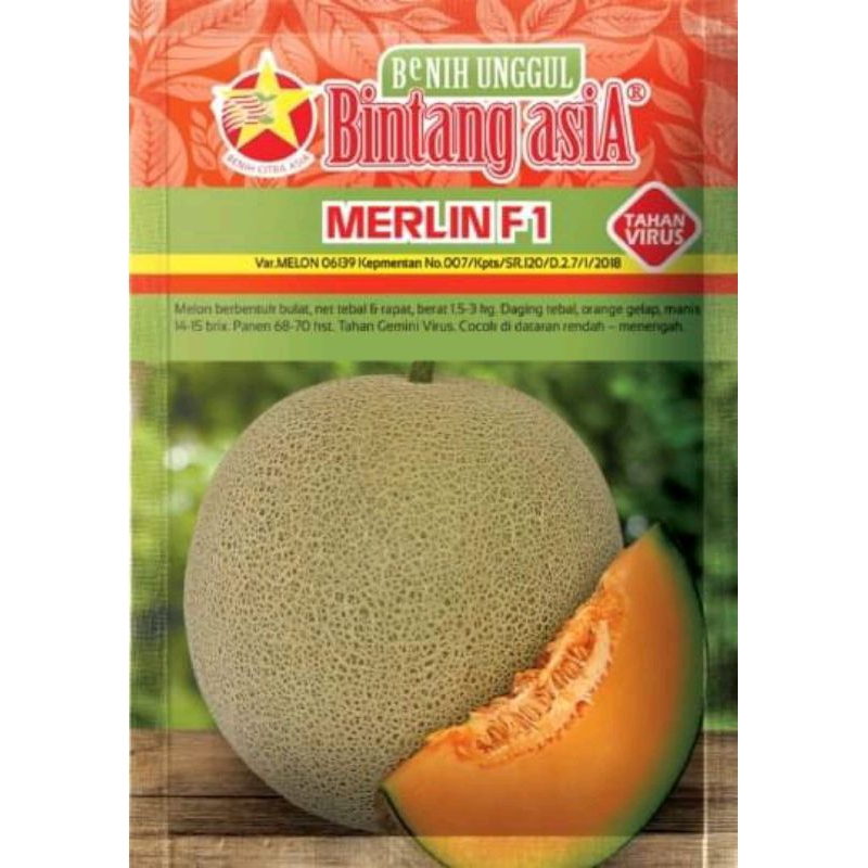Benih Bibit Melon MERLIN F1