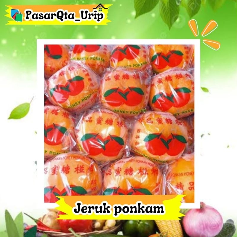 

jeruk ponkam per 500gr/ pasar buah makassar/ Pasar online makassar