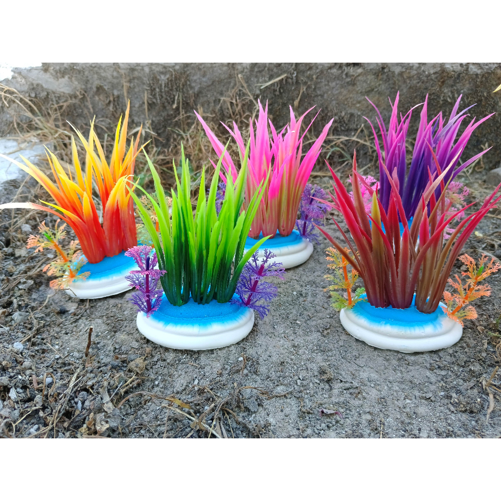 Tanaman pandan aquarium, tumbuhan pandan aquarium, tanaman plastik pandan, tanaman pandan, pandan aq