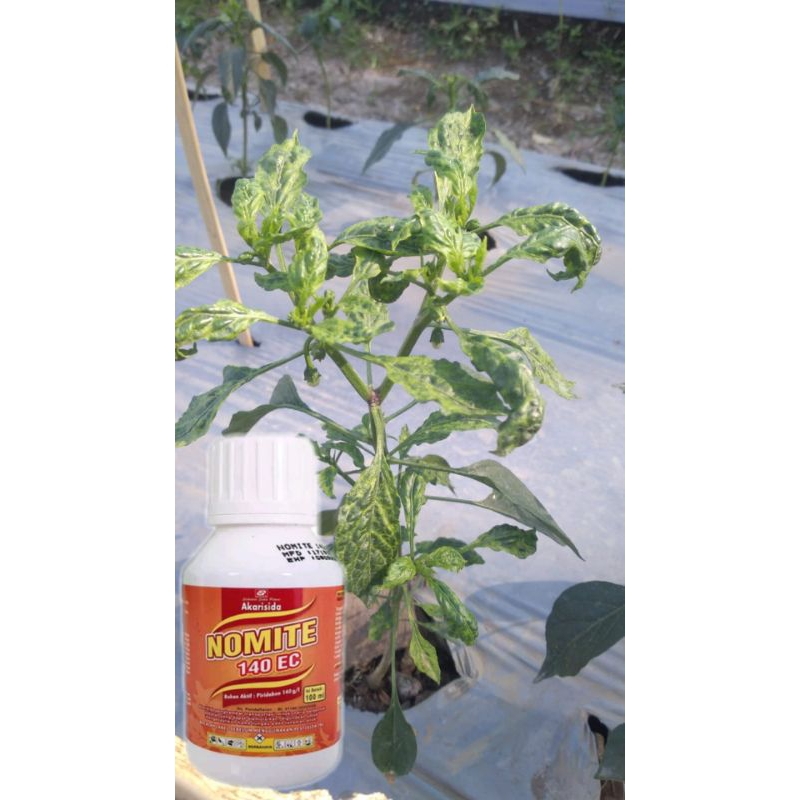 nomite 140ec 100ml