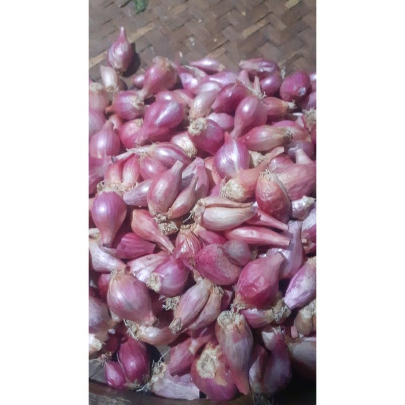 

bawang merah