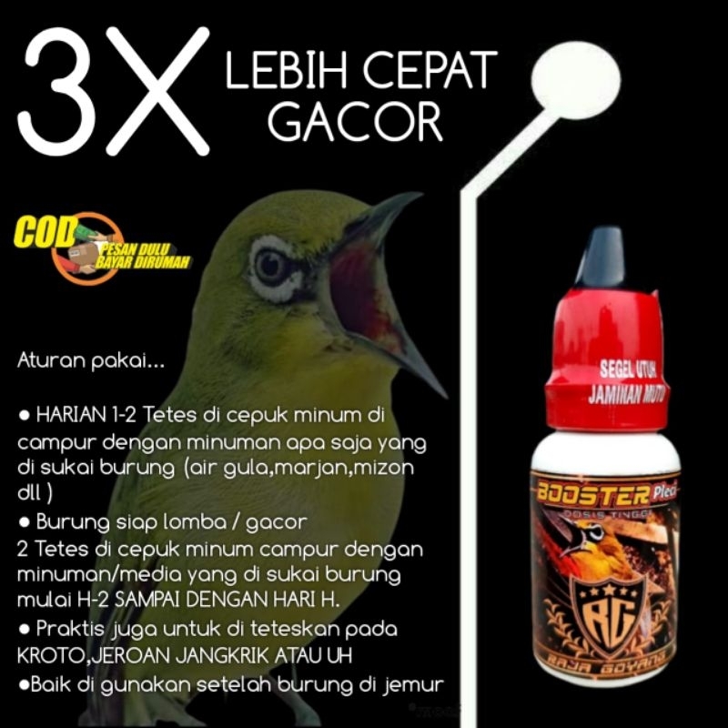 Vitamin Pleci Dosis Tinggi Booster Pleci VIitamin Penggacor Pleci Doping Pleci Raja Goyang