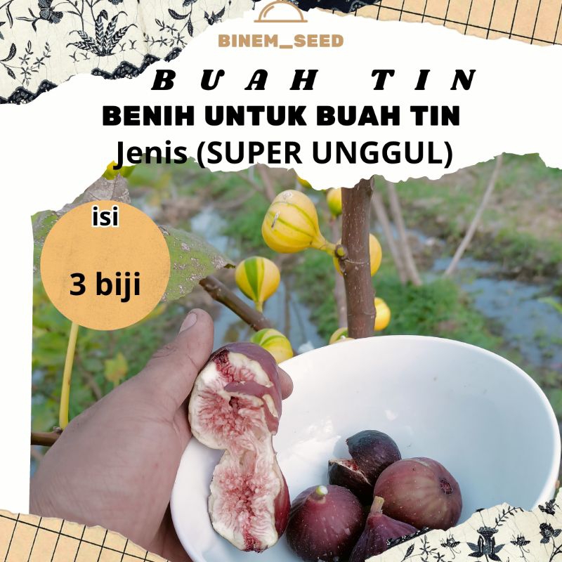 

BUAH TIN ISI 3 BUAH JENIS RANDOM