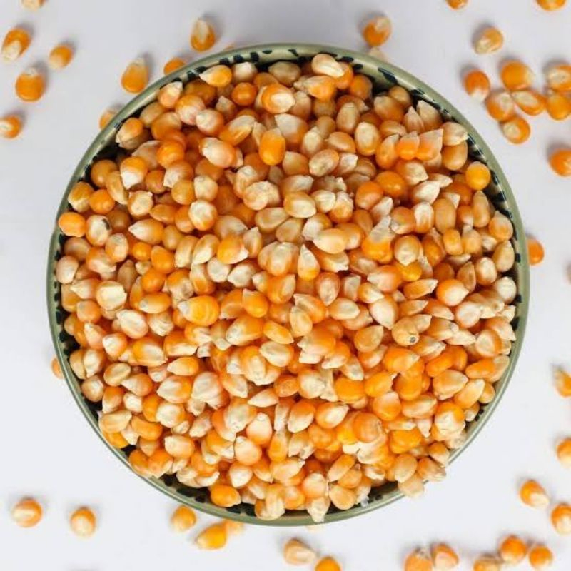 

Jagung Popcorn 200gram Pipil Keras Jambi