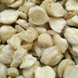 

kemiri