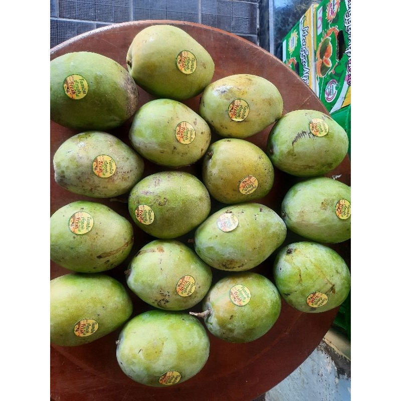 

MANGGA INDRAMAYU